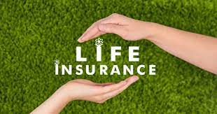 This is best for those whose main concern is to provide their how does your insurance policy kick in when something occurs to you? Life Insurance Basics In Malaysia