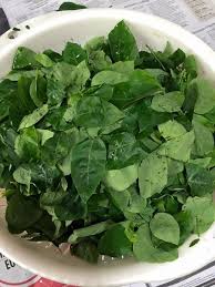 Chunking is a very effective way to learn complex concepts, and learning a new language is definitely one of them. Manicai Fried Beehoon æ 'ç±½èœç‚'ç±³ç²‰ Guai Shu Shu