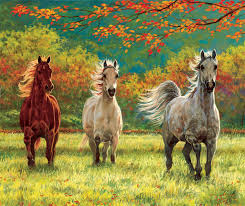 We did not find results for: Sunsout Horse Of A 500 Piece Jigsaw Puzzle Jigsaw Puzzles Puzzles