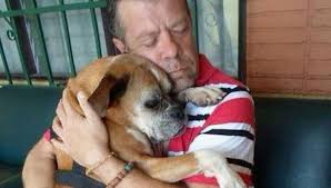 Man's Amazing Reunion with Missing Boxer Dog He Rescued Off the Streets