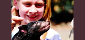 Rent a Wild Animal in Australia: A Conservation Innovation?