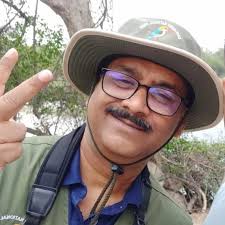 Splash of colour with Pied kingfisher West Bengal, India DOP-16/01/2025