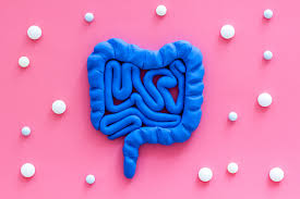 Menopause is the time at which a woman permanently stops menstruating, usually it is preceded by the climacteric period, sometimes referred to as perimenopause or menopausal transition, which is. Zusammenhang Zwischen Mikrobiom Und Menopause
