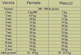 Logical Golden Weight Chart Compression Golf Ball Chart