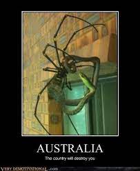 Scary Animal Stuff Sara Eriksson Pope Would Die If She Saw The Spider Heheh Lol 3 Really Funny Memes Scary Animals Funny Relatable Memes