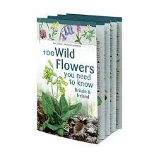 With colette o'neil, beatie edney, stevan rimkus, sheila robert smith's wild flowers is an exquisite drama set at the funeral for a daughter, where her. 100 Wild Flowers You Need To Know 100 Wfb Rwbf Co