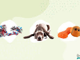 We did not find results for: The 9 Best Dog Subscription Boxes Of 2021