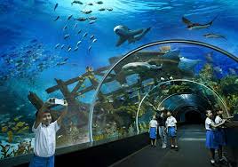 Aqua Vega Aquarium Ankara In 2020 Turkey Tourist Attractions Tourist Tourist Attraction