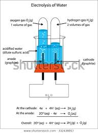 Labeled Diagram Show Electrolysis Acidified Water Stock