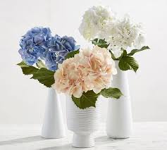 Check spelling or type a new query. Faux Hydrangea Stem Artificial Flowers Pottery Barn