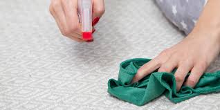 Allow the solution to sit on. How To Clean A Rug Area Rugs Shag Rugs Wool Rugs And More