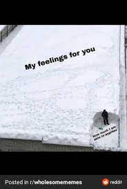 2020's been rough, so here are some wholesome memes to boost your spirits. Wholesome Memes Cheer Yourself Up With These Happy Jokes Film Daily