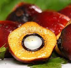 Ffb grading is the process of inspecting and assessing the quality oil palm fresh fruit bunch by taking random samples of bunches from a consignment at the mill or at the buyer's premises (ffb dealer). Greenpalm Palm Oil Is The Most Popular Vegetable Oil On The Planet