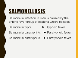 11216 Infective Ulcers Of The Intestine Dr A