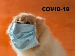 Enter your zip code & find info on low cost vet. Babine Animal Hospital Smithers Bc Home Facebook