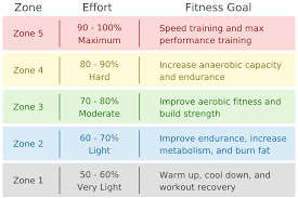 Target Heart Rate Calculator - Inch Calculator