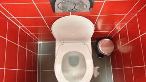 Just something i ve wondered for a while. Put The Toilet Seat Down To Avoid Toilet Plumes