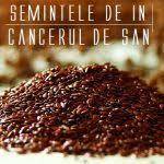 Tratament Natural Pentru Circulație Periferică Proastă Maini și Picioare Reci Meat Jerky Food Jerky