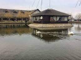 Δείτε 14 κριτικές ταξιδιωτών, 7 φωτογραφίες και εξαιρετικές προσφορές για casa cu stuf, με ταξινόμηση #50 από στο casa cu stuf θα βρείτε ό,τι χρειαστείτε για τη διαμονή σας. La Casa Cu Stuf Cu Totii Ne Bucuram De Orice Raza De Facebook