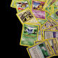 Poke' Trainers Club in Paonia