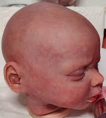 Carte Reborn Babies Nursery