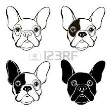 Black And White Frenchie Clipart Pin Em Tarot Cards