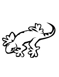 Realistic desert lizard coloring pages. Lizard Coloring Pages For Preschooler Coloring4free Coloring4free Com