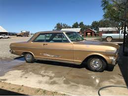 Image result for Autumn Gold 1962 Nova