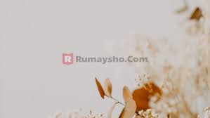 0 31,454 3 minutes read. Amalan Amalan Yang Bermanfaat Bagi Mayit Rumaysho Com