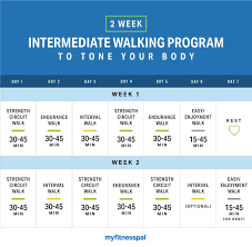 Image result for Walking Program
