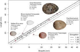What are the requirements to sell your eggs? Variation In Avian Egg Shape And Nest Structure Is Explained By Climatic Conditions Scientific Reports