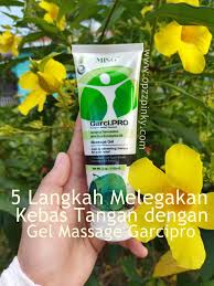 We did not find results for: 5 Langkah Melegakan Tangan Kebas Dengan Massage Gel Garcipro Opzzpinky Lifestyle Blogger