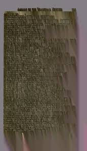 Image result for Eriochrysis pallida