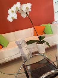 Vepo Day Spa 27 Photos 50 Reviews Skin Care 2128 Lincoln Hwy Edison Nj United States Phone Number