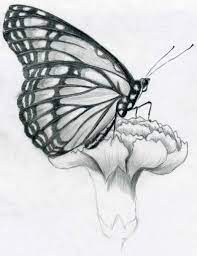 We did not find results for: Simple Black And White Drawing Of Butterfly Novocom Top