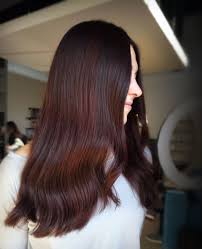 Red Violet Brunette Aesthetic Hair Long Hair Styles