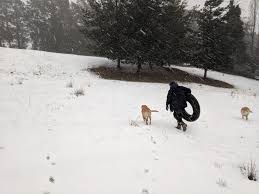Winds variable at 6 to 15 mph (9.7 to 24.1 kph) (9.7 to 24.1 kph). Tubing In The Snow Orange Nsw 10 8 29 Imgur