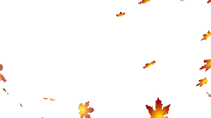 In this video, i show you how to create a gif with the transparent background. Fall Falling Sticker By Brock University For Ios Android Giphy