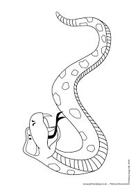 Eastern diamondback rattlesnake hognose snake kingsnakes boa constrictor, eastern diamondback rattlesnake, hognose snake png. Animals Rattlesnake Colouring Page Worksheet Primaryleap Co Uk