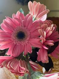 Cheers to chapter 39 🖤 🥳 Wow! It's been an incredible last few days 🎂 A  surprise birthday party thrown by my sweet daughter Haylee Fortkamp. It was  amazing to be surrounded