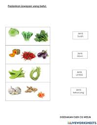 Buah nanas merupakan jenis buah tropis yang berasal dari negara paraguay, bolivia dan brasil. Asas Tanaman Worksheet