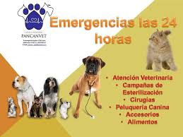 Veterinaria Pancanvet