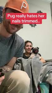 The wiggling 🤣 #Memezar (hayleyannbeauty via Bviral)