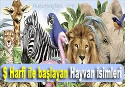 S Harfiyle Baslayan Hayvan Isimleri Huzur Sayfasi Islami Bilgi Kaynaginiz