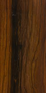 cocobolo the wood database lumber identification hardwood