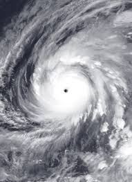 Flowers from 1970 is back up! Typhoon Wikipedia