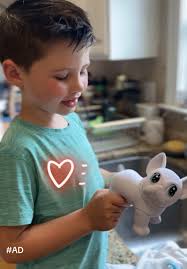 Scribble Scrubbie Pets