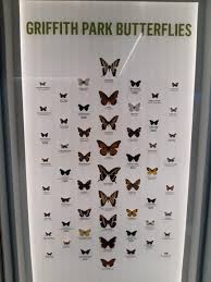 Butterfly Identification Chart From Griffith Park Los