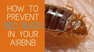 How To Prevent Bed Bugs In Your Airbnb Unit Bed Bugs Airbnb Signs Of Bed Bugs