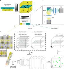 Get it as soon as wed, aug 18. Deep Learning Enhanced Light Field Imaging With Continuous Validation Nature Methods